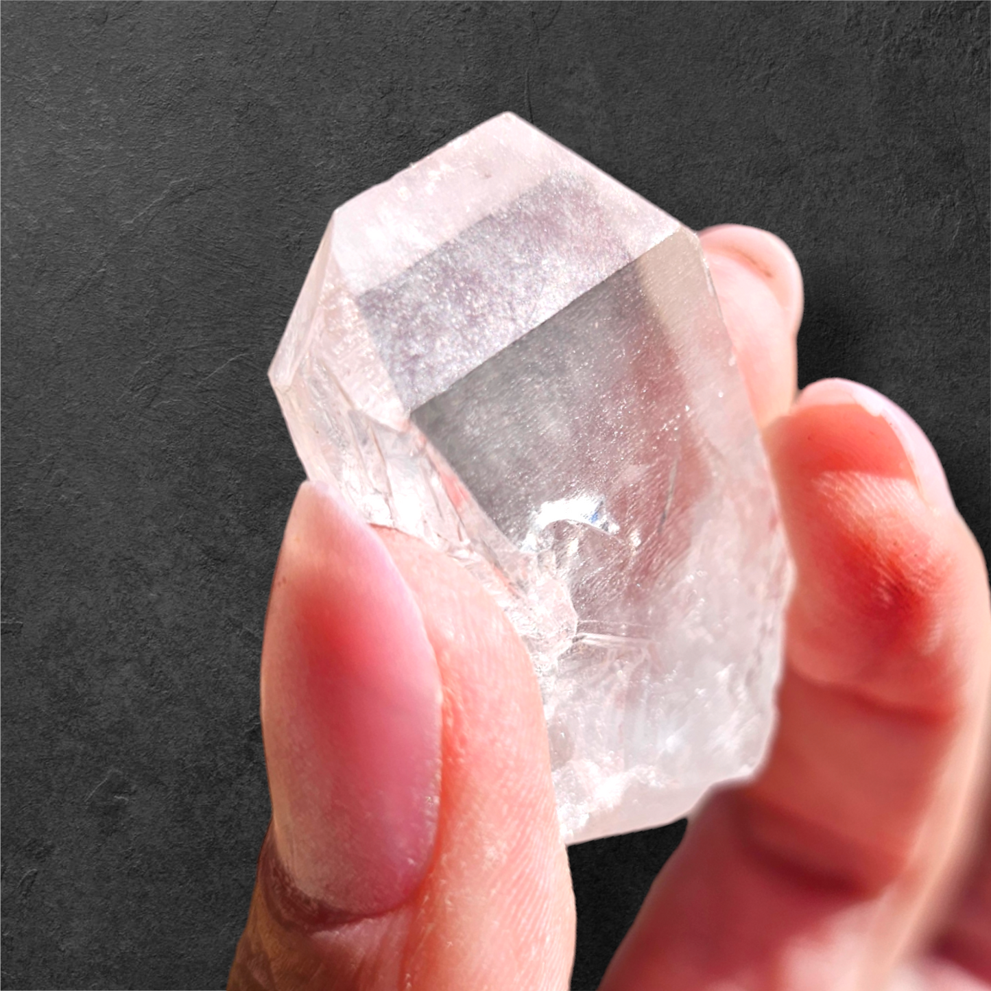 Pink Colombian Lemurian Tabby Point!