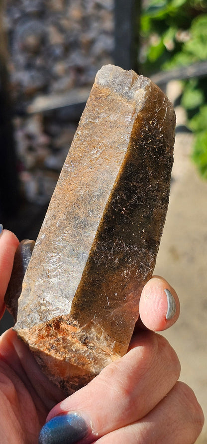 Shamanic Dream Stone Etched Lodolite Garden Quartz