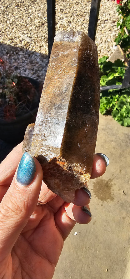 Shamanic Dream Stone Etched Lodolite Garden Quartz