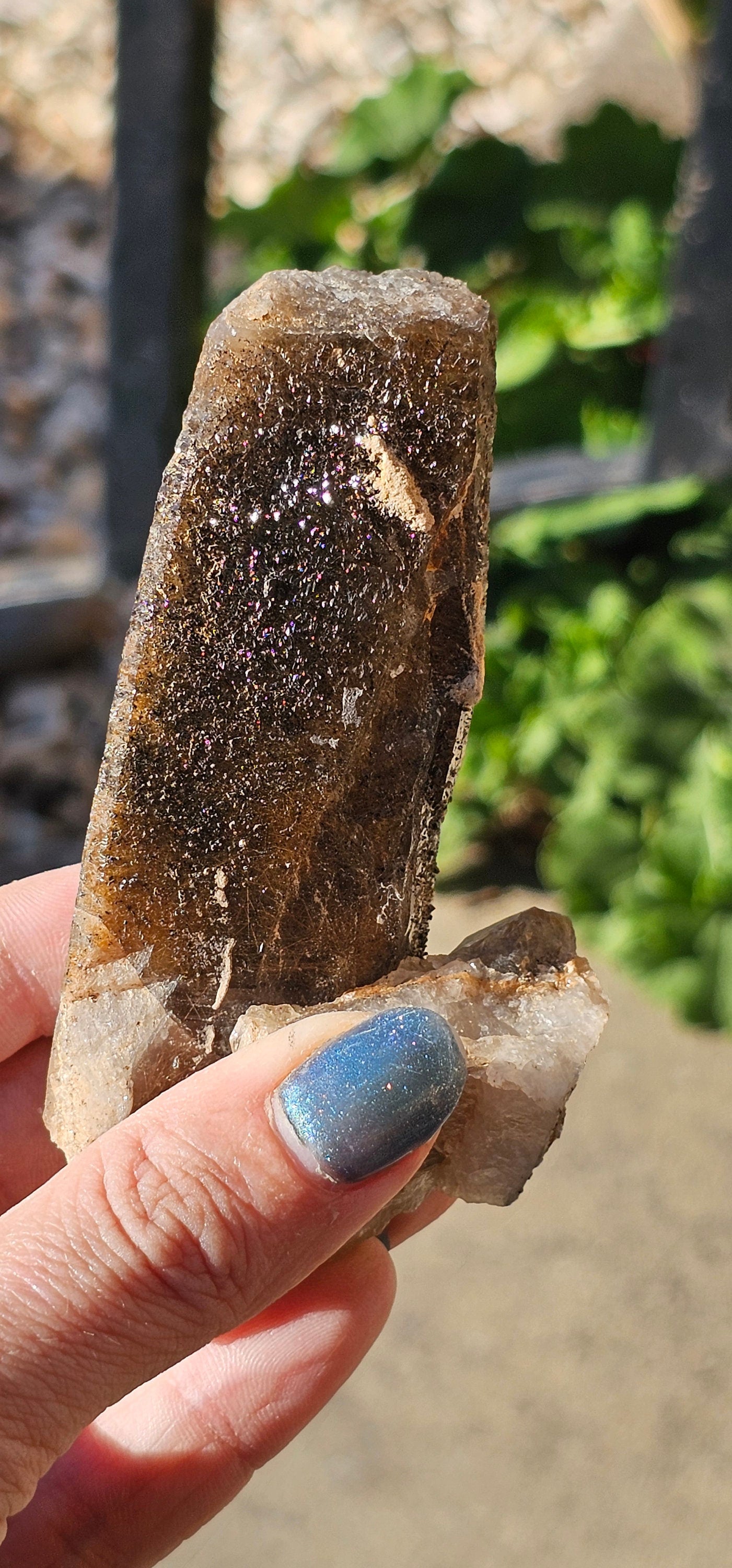 Shamanic Dream Stone Etched Lodolite Garden Quartz