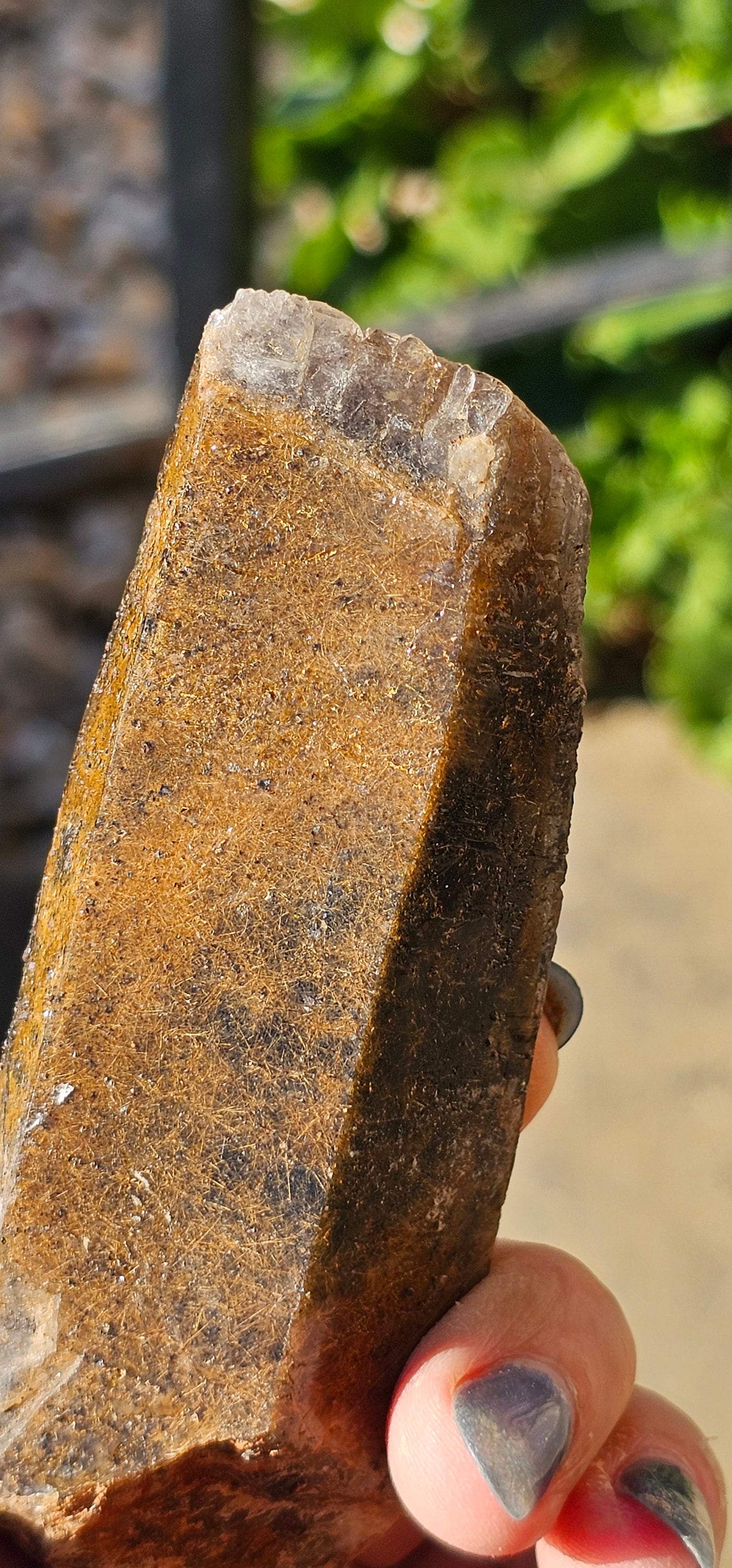 Shamanic Dream Stone Etched Lodolite Garden Quartz