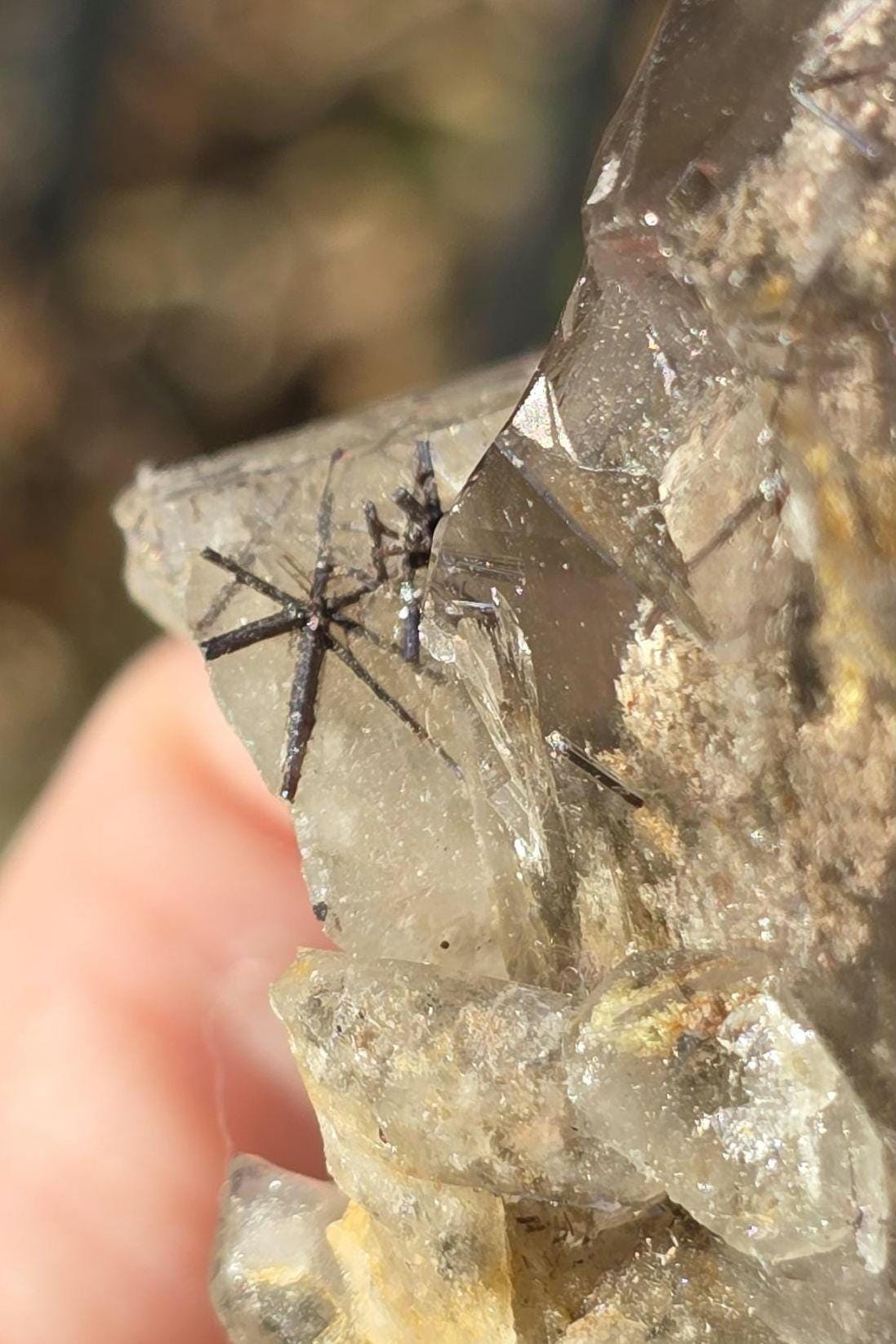 Reticulated Red Rutile Star Included Garden Smoky Quartz from 90's Brazil